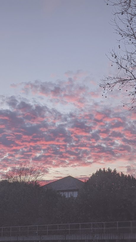 Callie Rose erotic pornstar photos