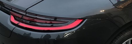 handsome bunny_ nude star images