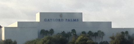 Daniel Satire pornstar top pic