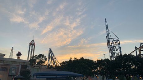 ZaraSa_ art pornstar archive