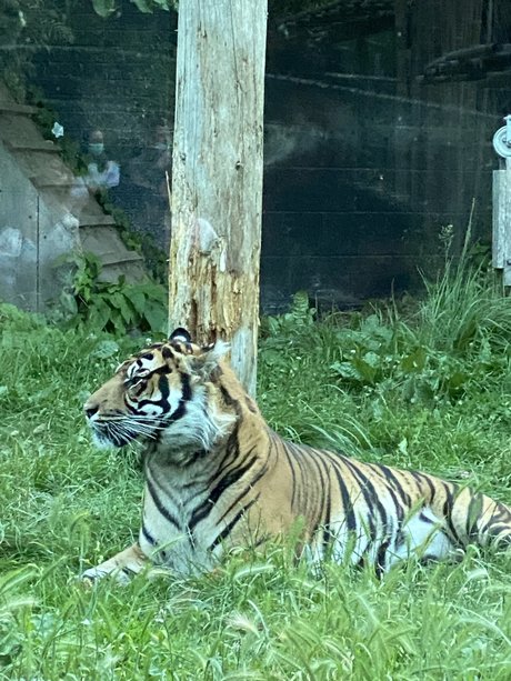 YRLA high quality pornstar galleries