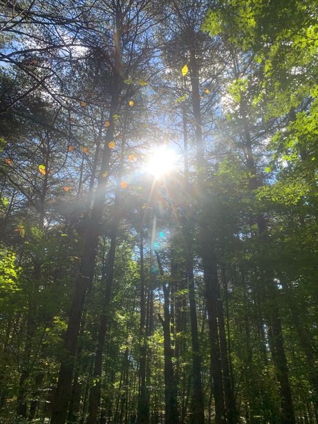 Marc Harrington free pornstar images