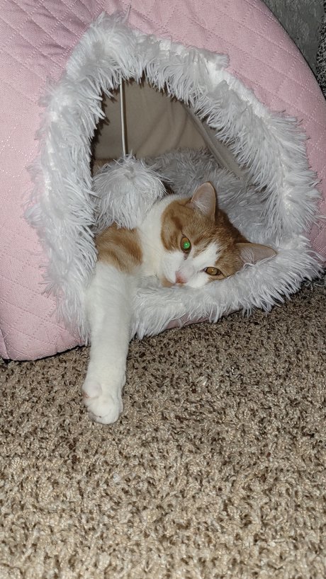 Zeus Lightning_ porn actress picture