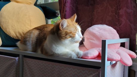 Zeus Lightning_ nudes actress images