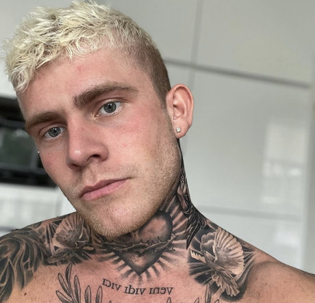 Kvidir pornographic star galleries