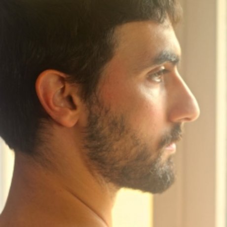 Ludo Merlin top star photo