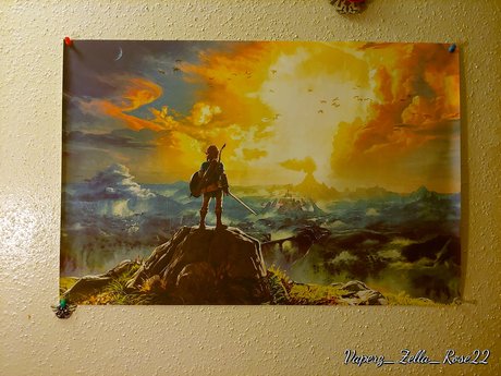 Zella hot star archive