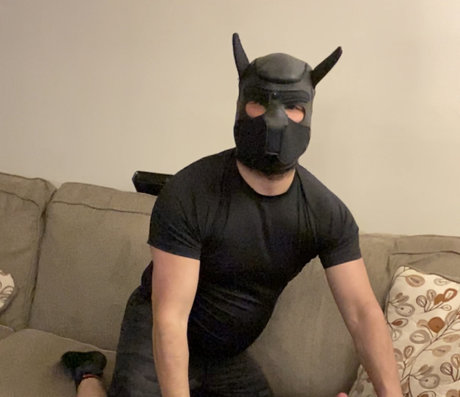 OtterSiternSeat xxx star images