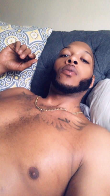 Zerofuxxsgivin star top pics