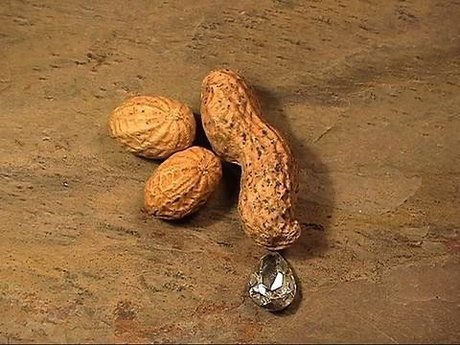 Ashtyn s Playground_ star hd images