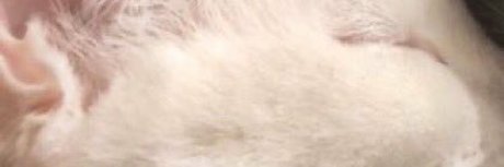 ivan pero en cuarentena star sex pic