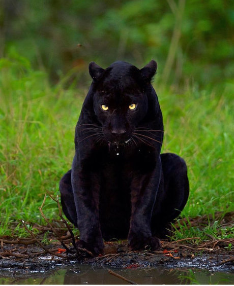 halloween onlyfans free xxx image