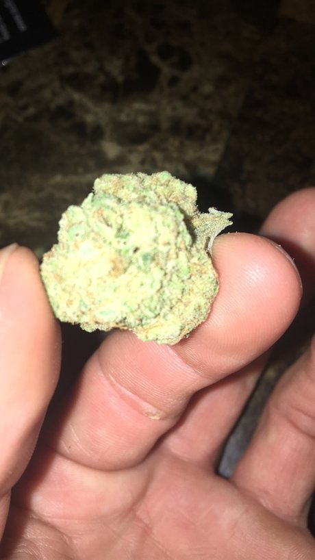 Chief E pornstar photos