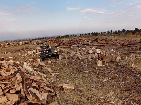 Fallen Watcher star porn img