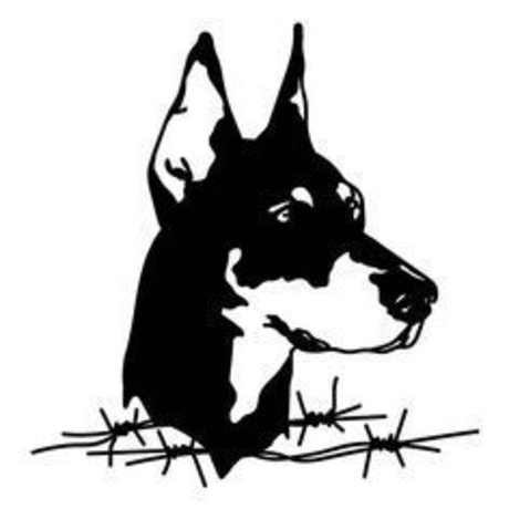 OFMANAGMENT amp amp MARKETING_ nice model pictures