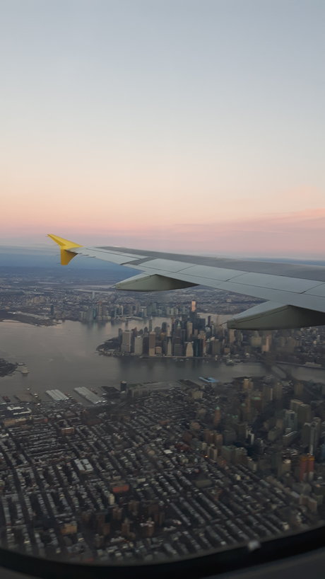 Otter Pup art pornstar pictures