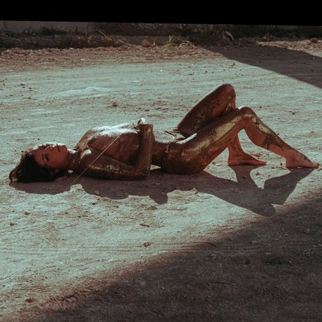 Bluebird perfect model img