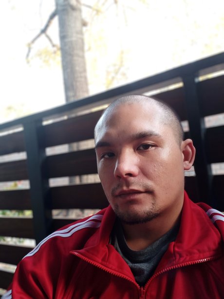 The Asian Persuasion nice pornstar photos