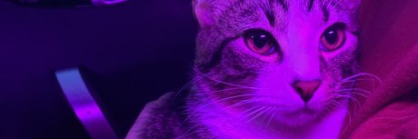 Fawad Khan nudes model pic