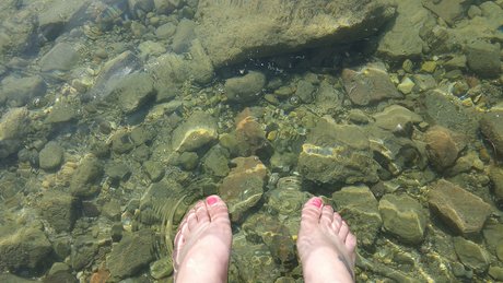 Fancy Free nude actress img