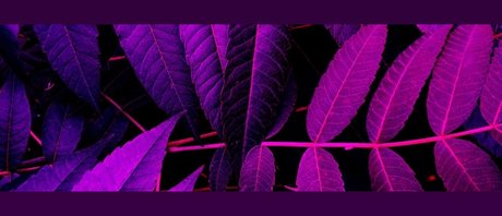 Soda Ghoul star hot pics