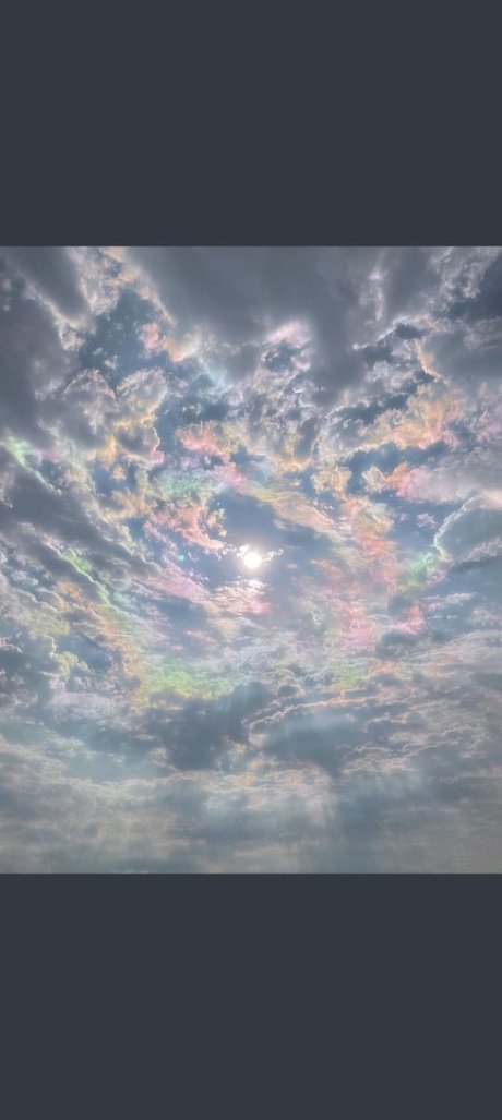 Anthony Ortiz exclusive pornstar archive