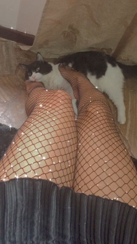 Sofie cgc best pornstar gallery