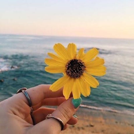 Karen lima model pornographic picture