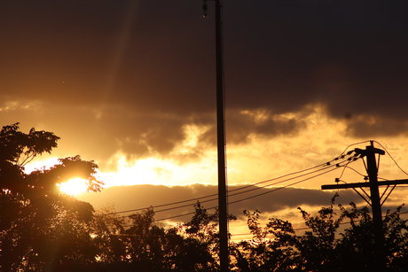 Freaks313 xxx model galleries