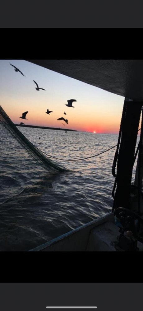 Kitty cat perfect pornstar img