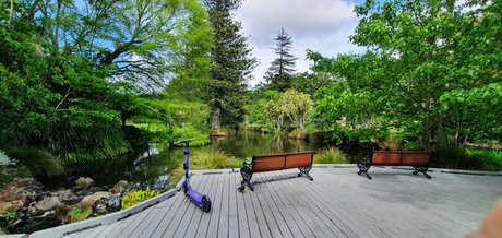 parasiteonwheels nice actress pictures