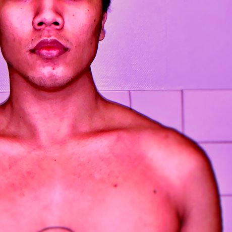 Jake Setyls pornographic model archive