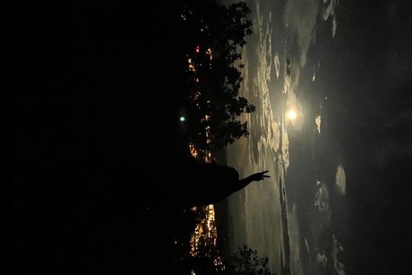 D Dee pornstar erotic archive