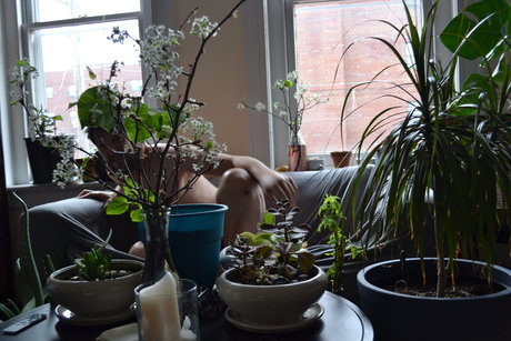 brucedickhamster19 model erotic picture