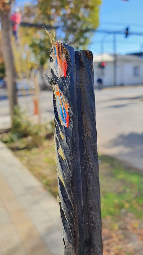 asian asmr onlyfans exclusive img