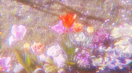 Tiffany Riker model photos