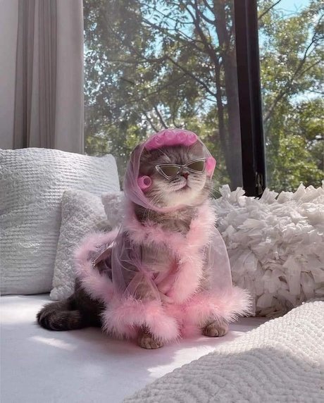 Fierynymph model gallery