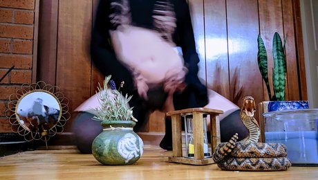 Fae Amore star porn images