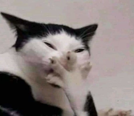 J U N I O R D_ best star pic