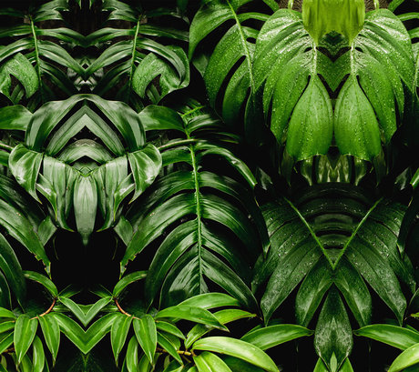 Paula Molina pretty pornstar archive