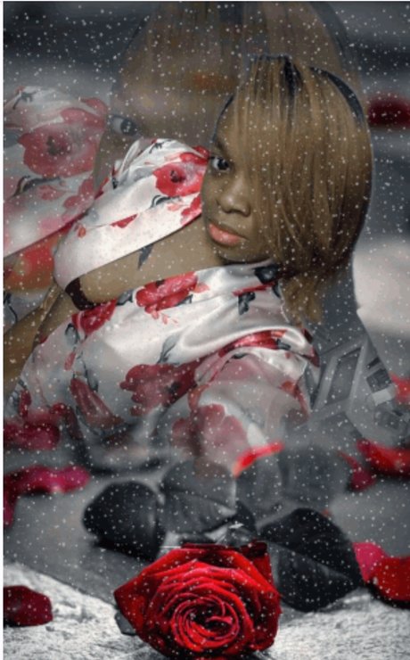 Lovely Bee perfect star photos