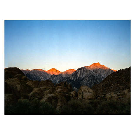 Matt Wolfe sex pornstar pictures