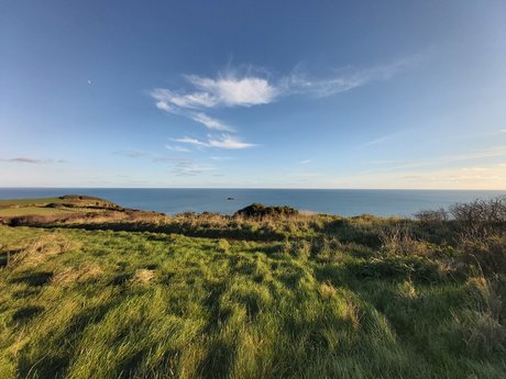 Tribs porn actress img