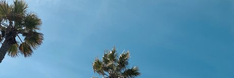 Cris y los Dinos star top picture