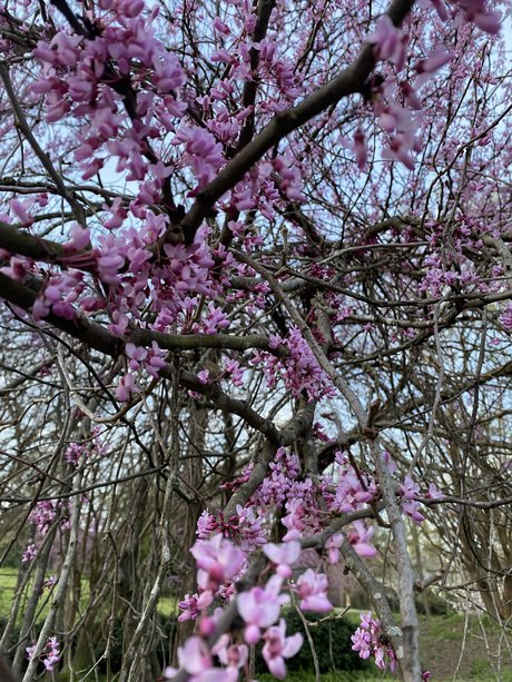 thrashersfan13 nude pornstar pics