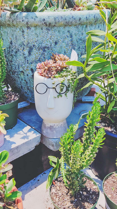 IrishGirl star best archive