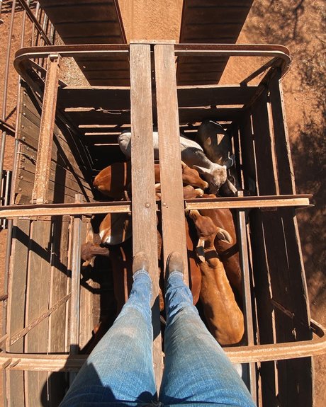 Naughtycowgirl exclusive actress images