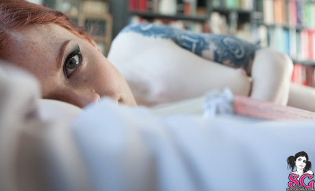 Annalee perfect star archive