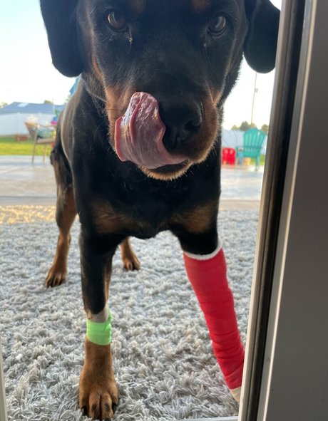 mfccammodel model sexy pics