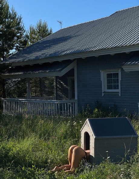 Gubernatar Profile pic